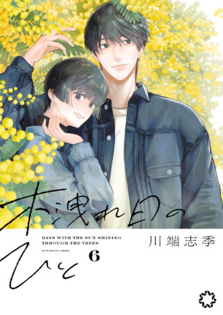 木洩れ日のひと 6巻 書影